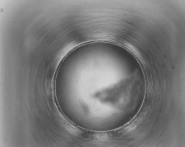 X0000060761291200511171138