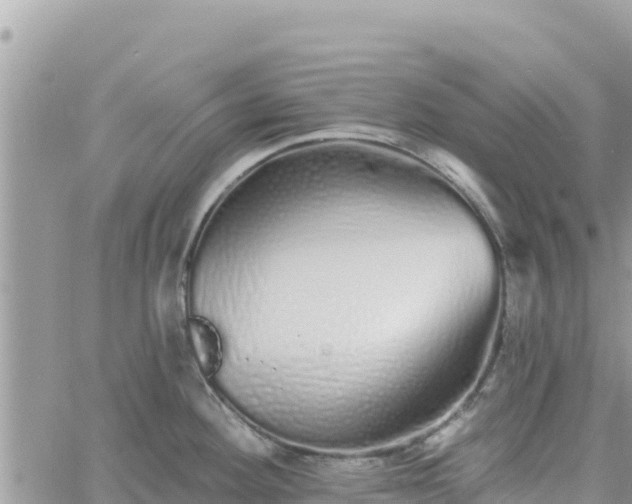 X0000060761292200511171138