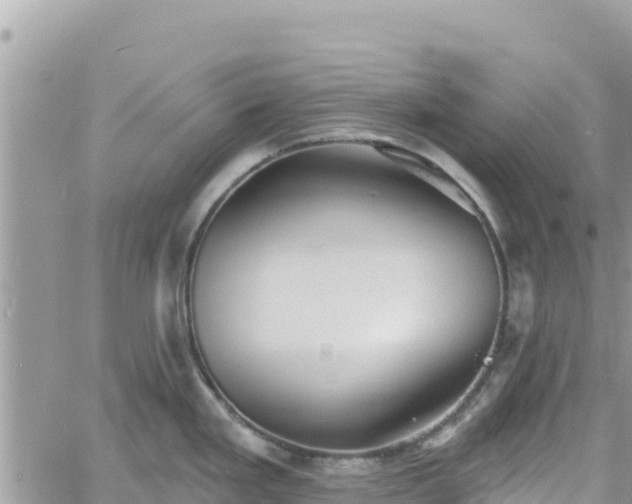 X0000060761293200511171138