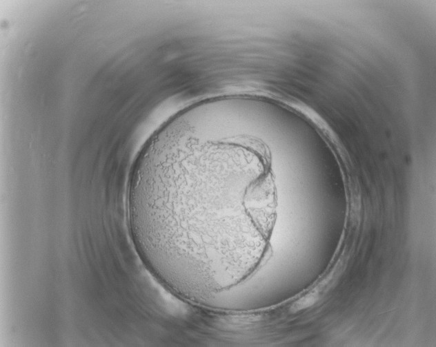 X0000060761294200511171138