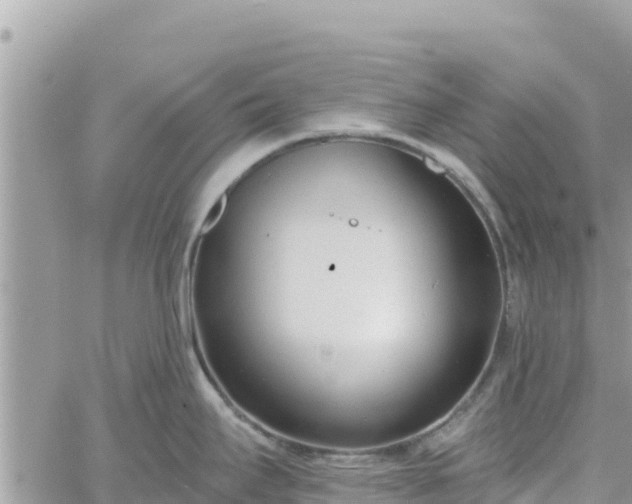 X0000060761295200511171138