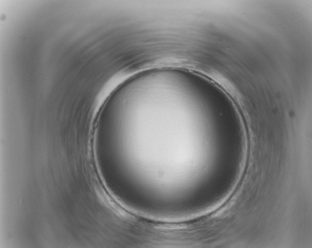 X0000060761296200511171138