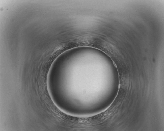 X0000060761297200511171137