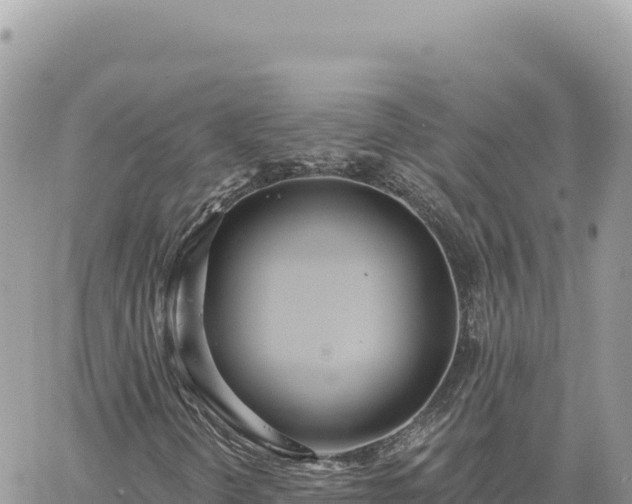 X0000060761298200511171137