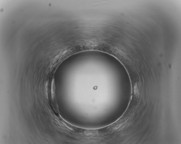 X0000060761299200511171138