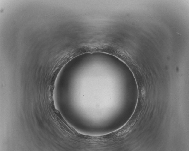 X0000060761300200511171138