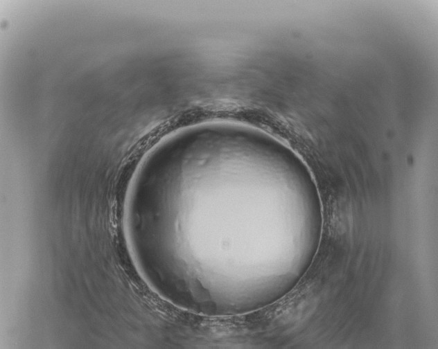 X0000060761301200511171138