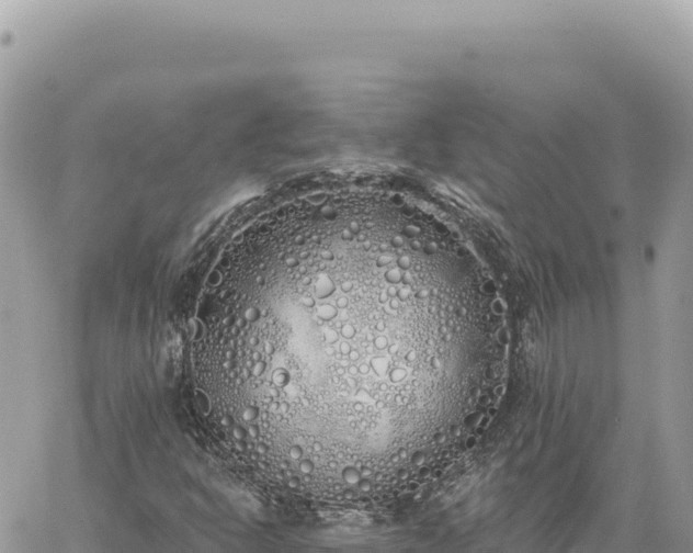 X0000060761302200511171138