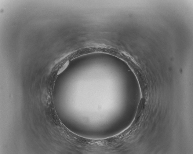 X0000060761303200511171138