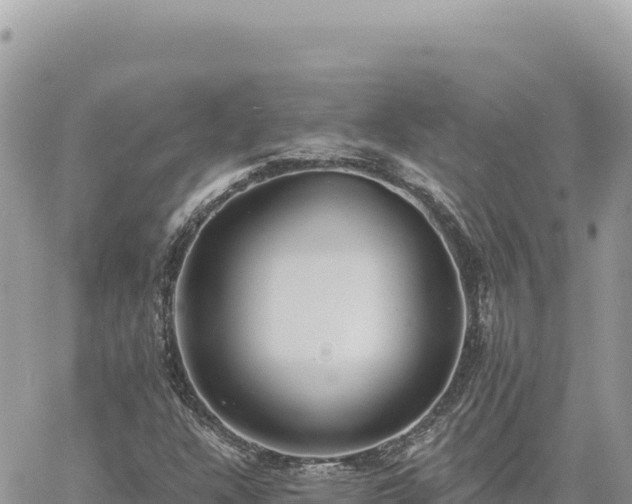 X0000060761304200511171138