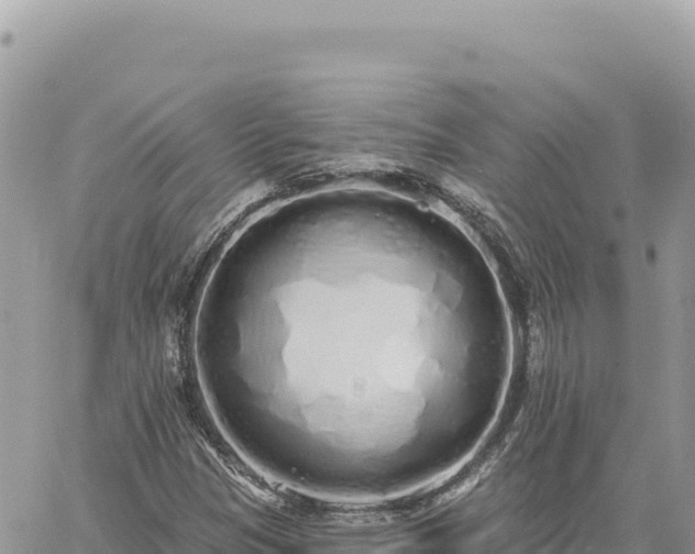 X0000060761305200511171138