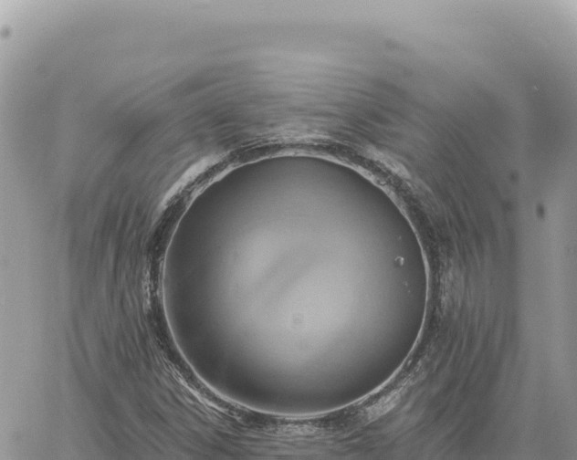 X0000060761306200511171138