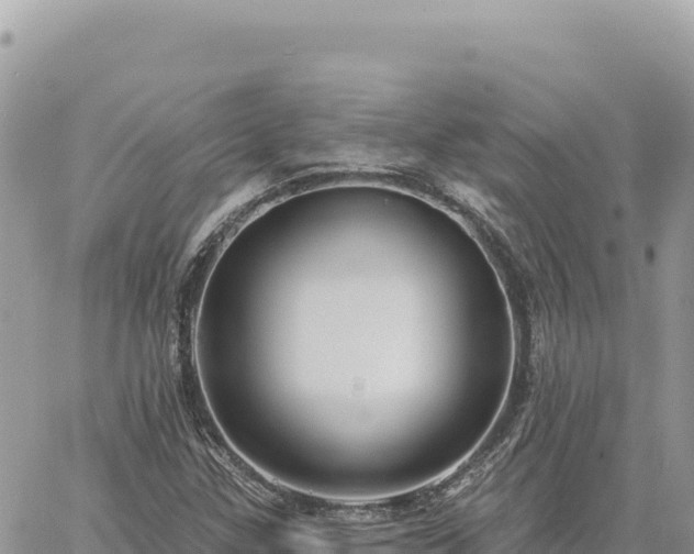 X0000060761307200511171138