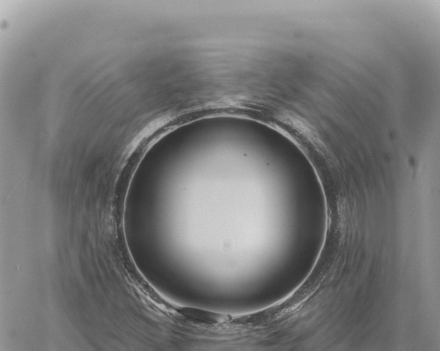 X0000060761308200511171138