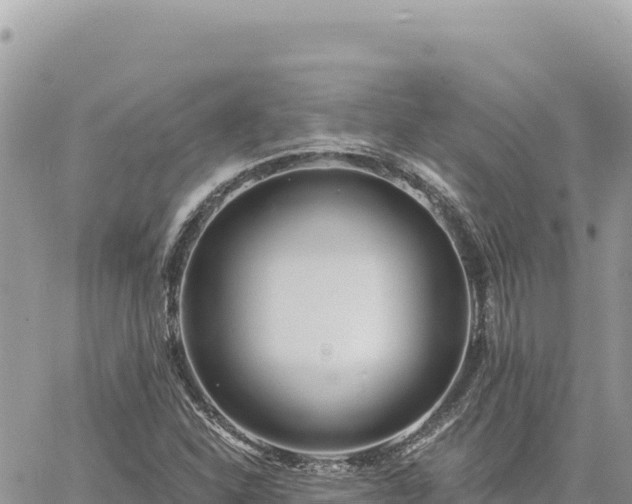 X0000060761310200511171138