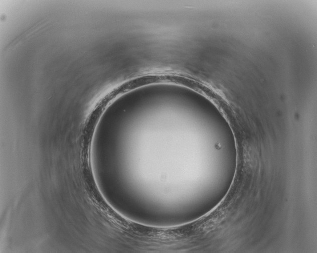 X0000060761311200511171138