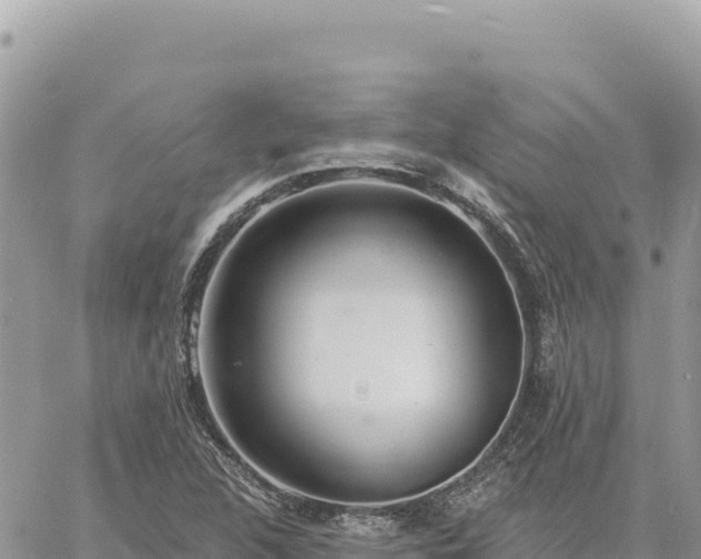 X0000060761312200511171138