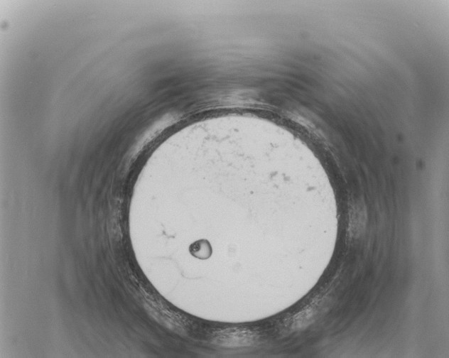 X0000060761314200511171138