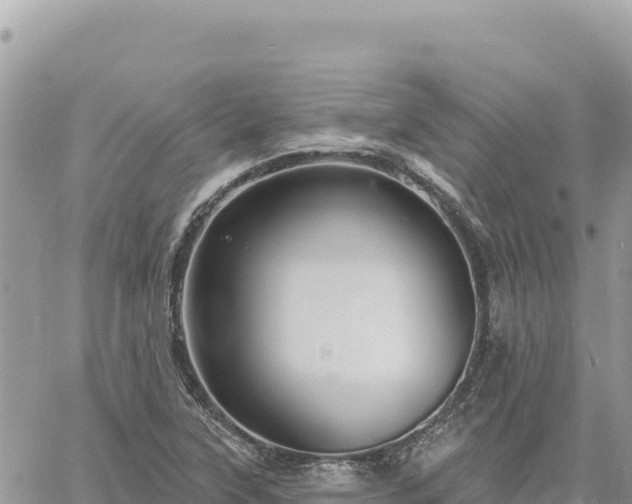 X0000060761315200511171138