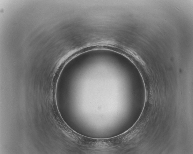 X0000060761316200511171138