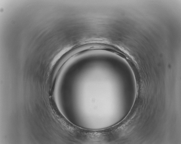 X0000060761317200511171138