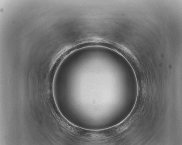 X0000060761318200511171138