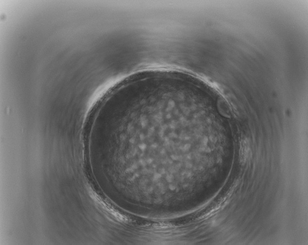 X0000060761319200511171138