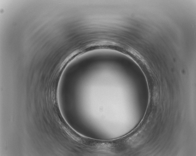 X0000060761321200511171138