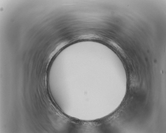 X0000060761322200511171138