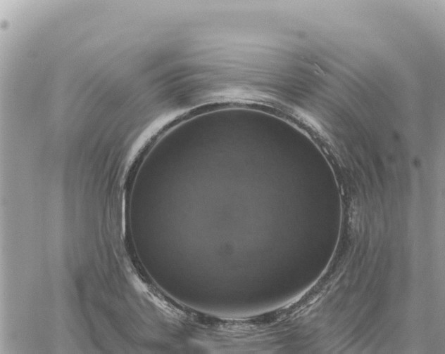 X0000060761323200511171138