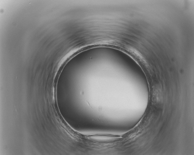 X0000060761324200511171138