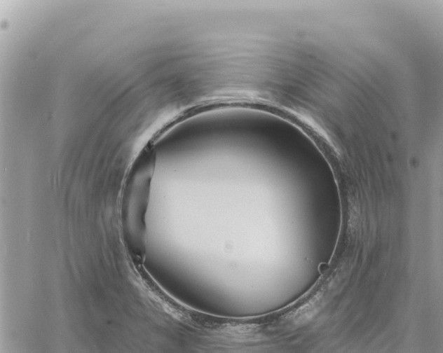 X0000060761325200511171138