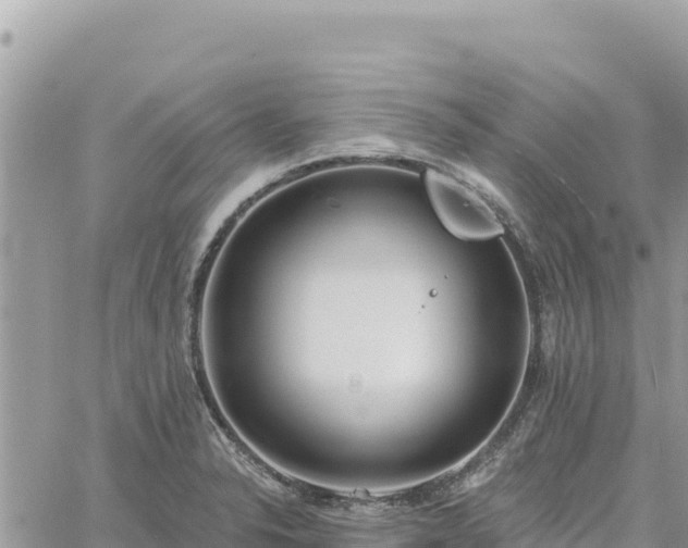 X0000060761326200511171138