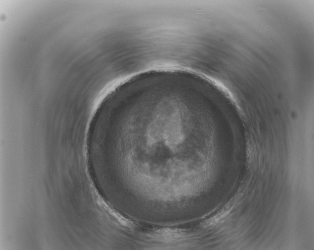 X0000060761327200511171138