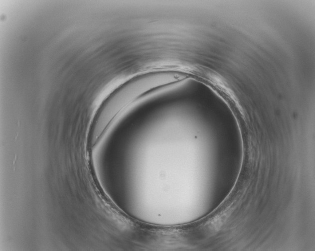 X0000060761328200511171138