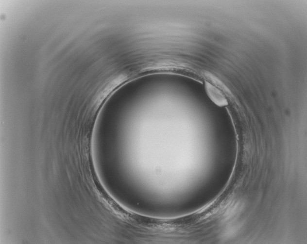 X0000060761329200511171138