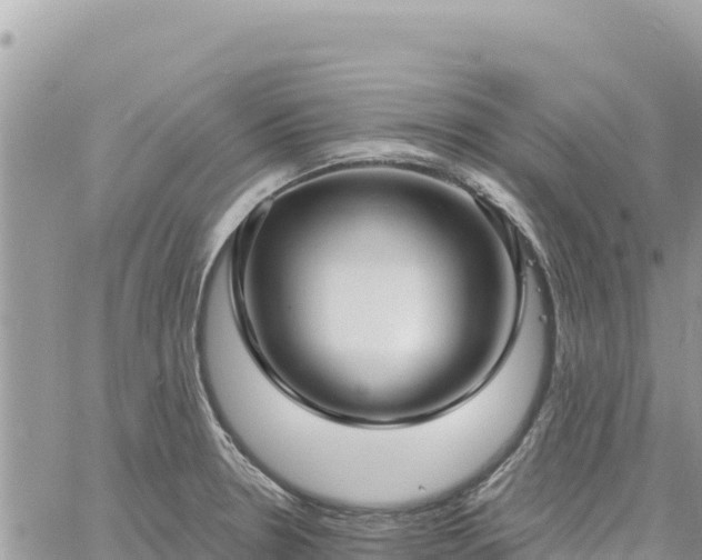 X0000060761330200511171138