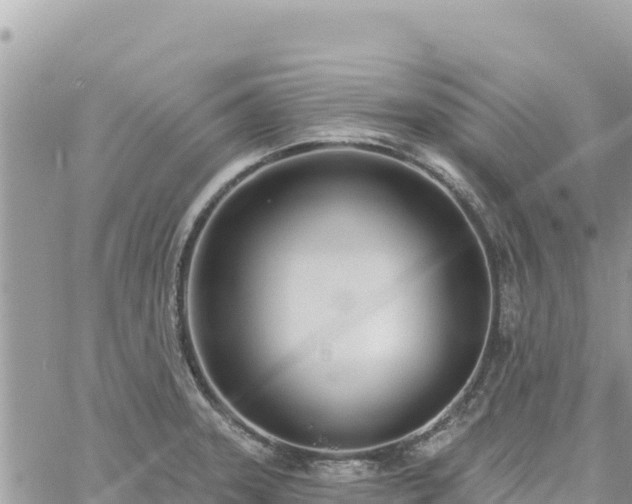 X0000060761331200511171138