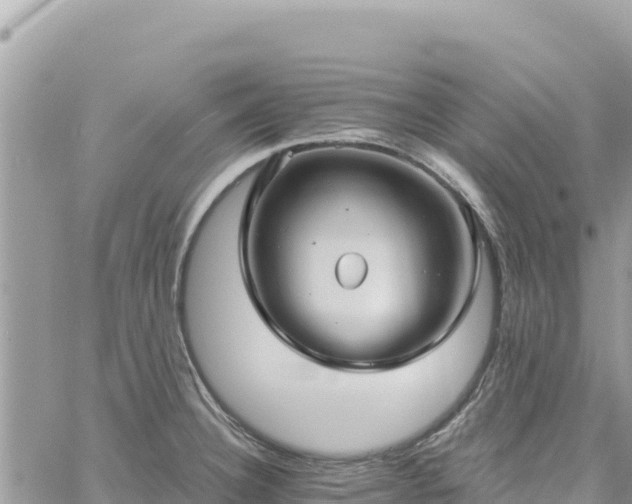 X0000060761332200511171138