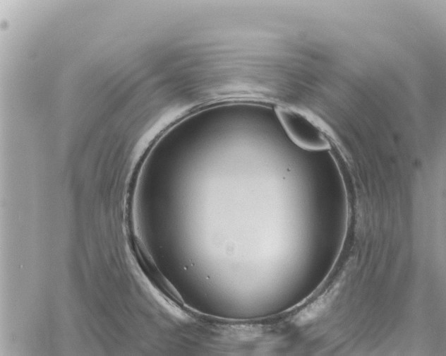 X0000060761333200511171138