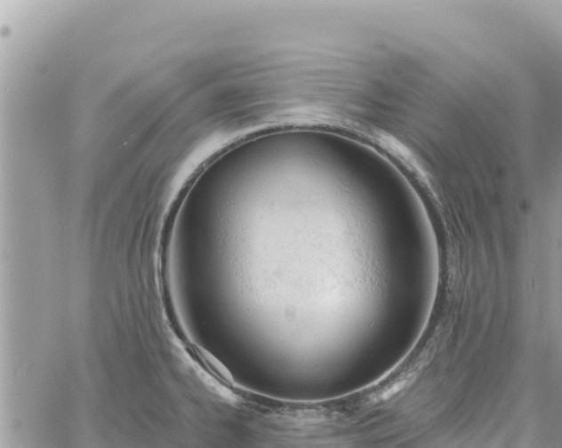 X0000060761334200511171138