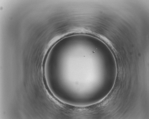 X0000060761335200511171138