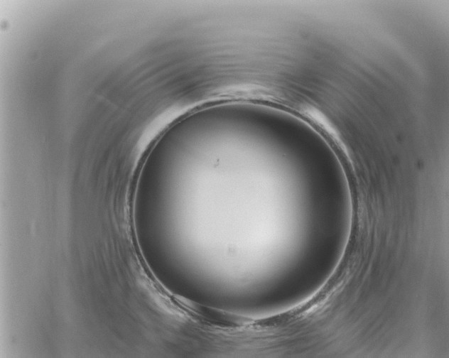 X0000060761336200511171138