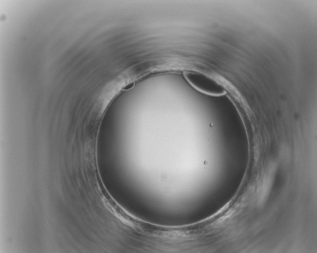 X0000060761337200511171138