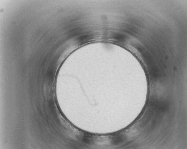 X0000060761338200511171138