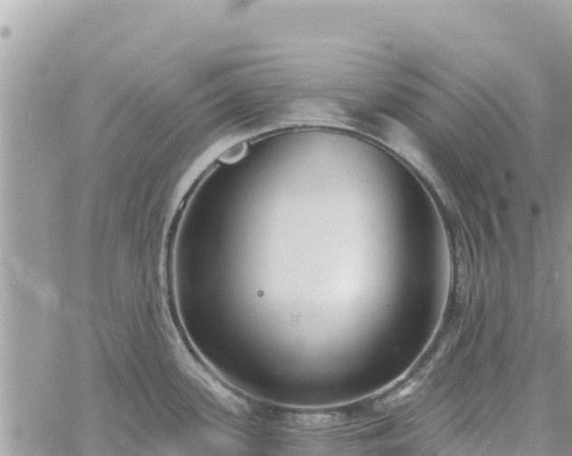 X0000060761339200511171138