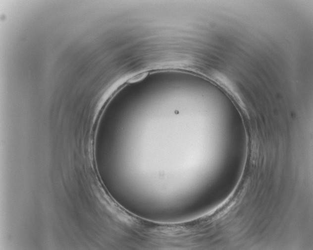 X0000060761340200511171138