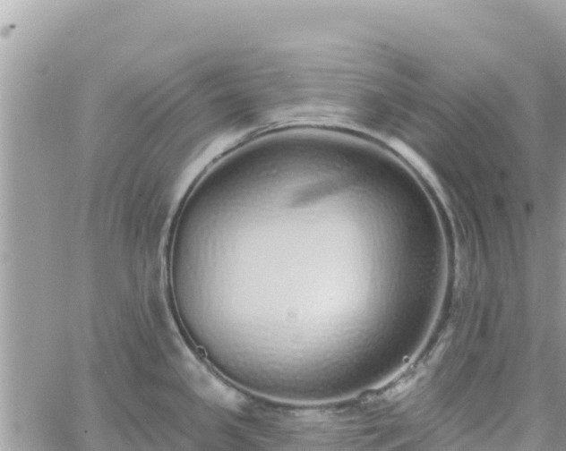 X0000060761341200511171138