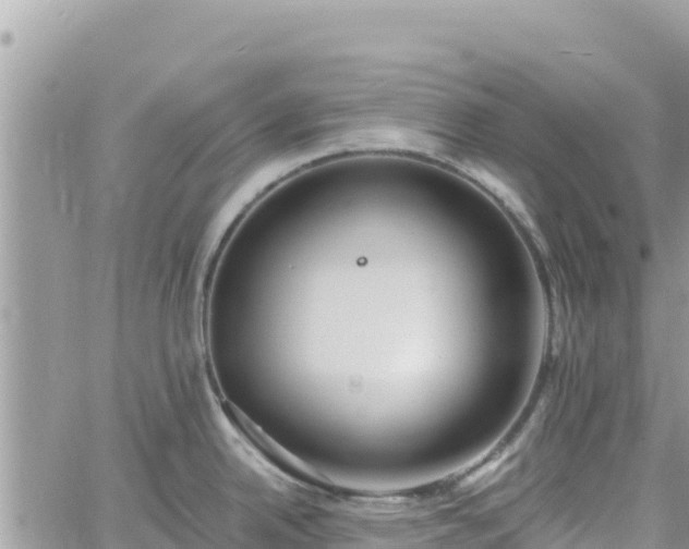 X0000060761342200511171138