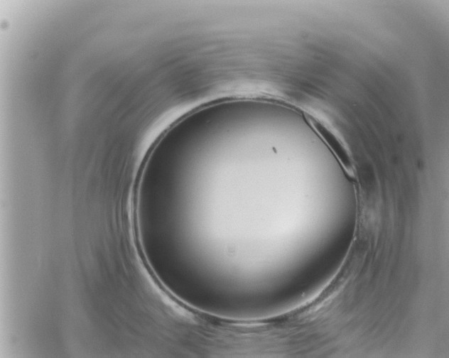 X0000060761343200511171138